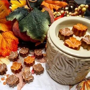 Fall Leaves Handmade 100% Soy Cinnamon Apple Scented Wax Melts (10 Per Pack)